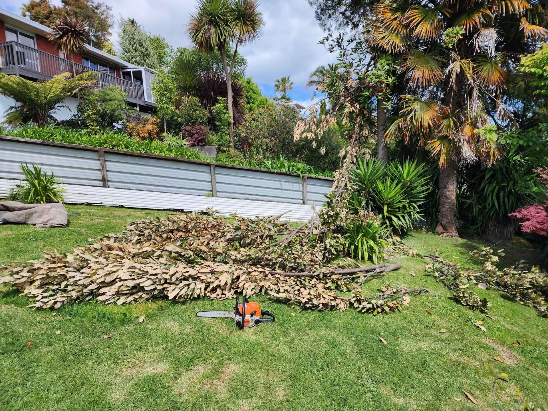 garden maintenance
