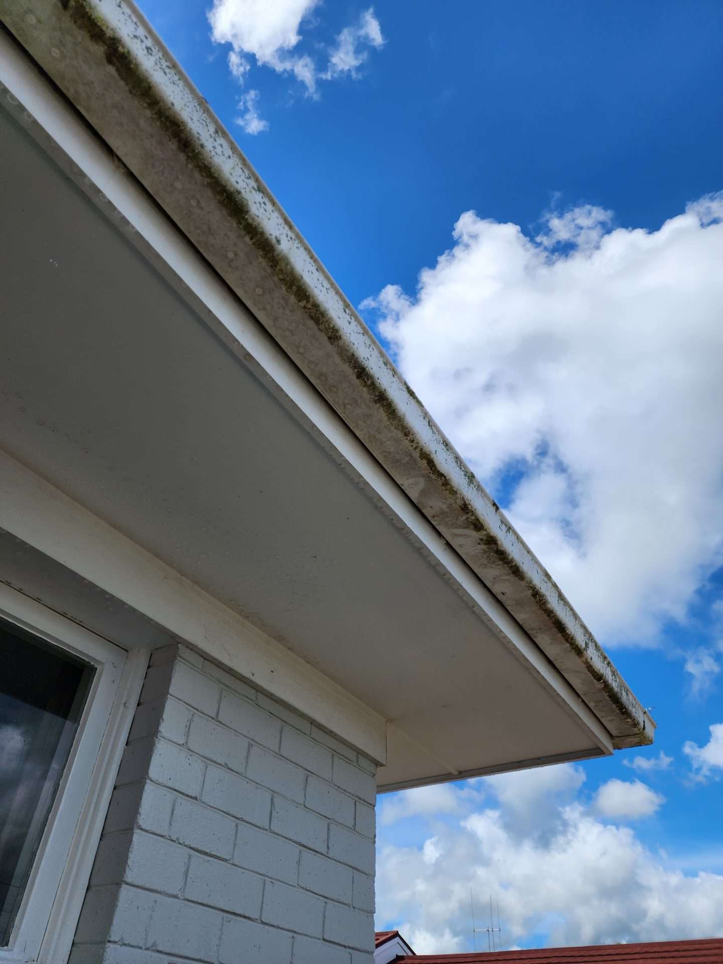 dirty gutters in need of cleaning