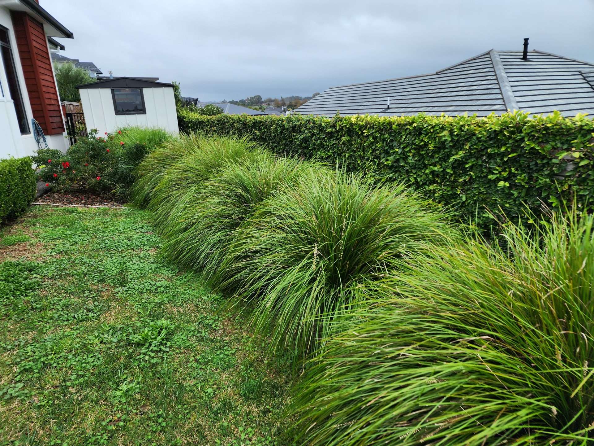Tailored Garden Maintenance for Every Need’