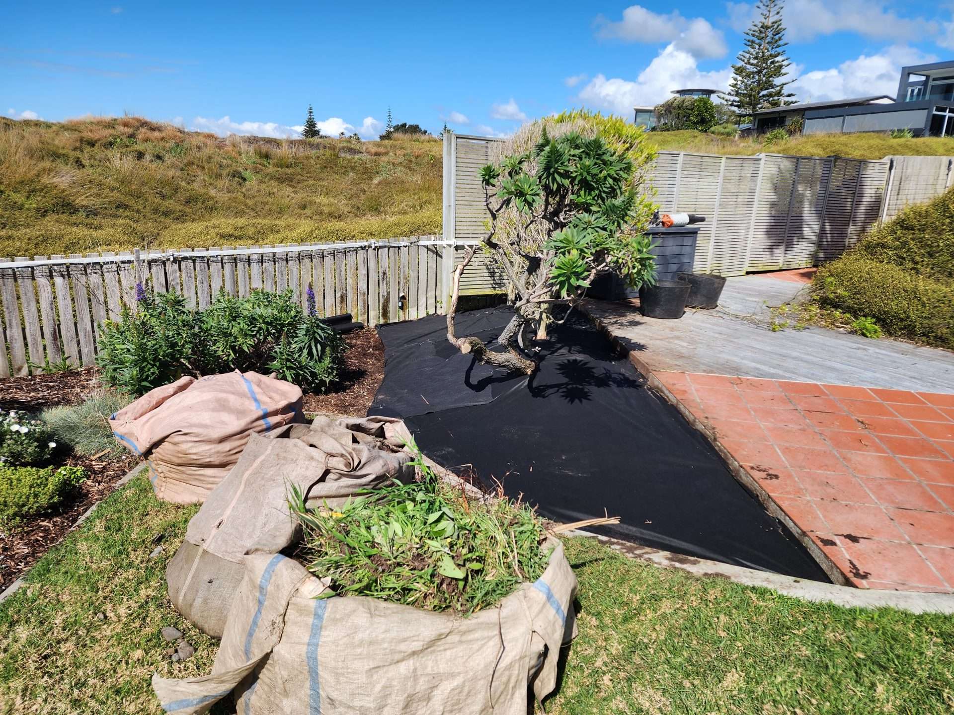 Create the Garden of Your Dreams