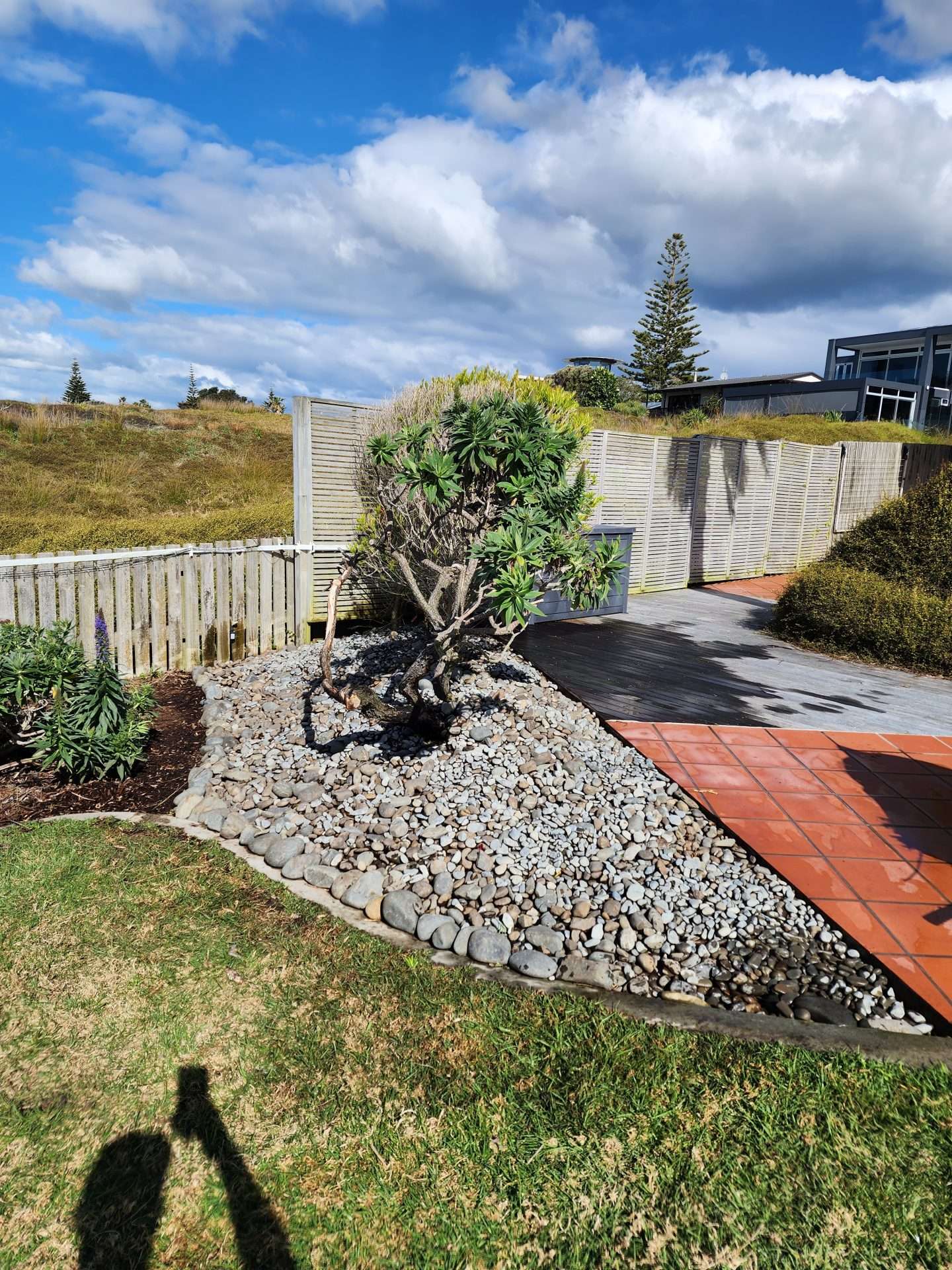 Create the Garden of Your Dreams